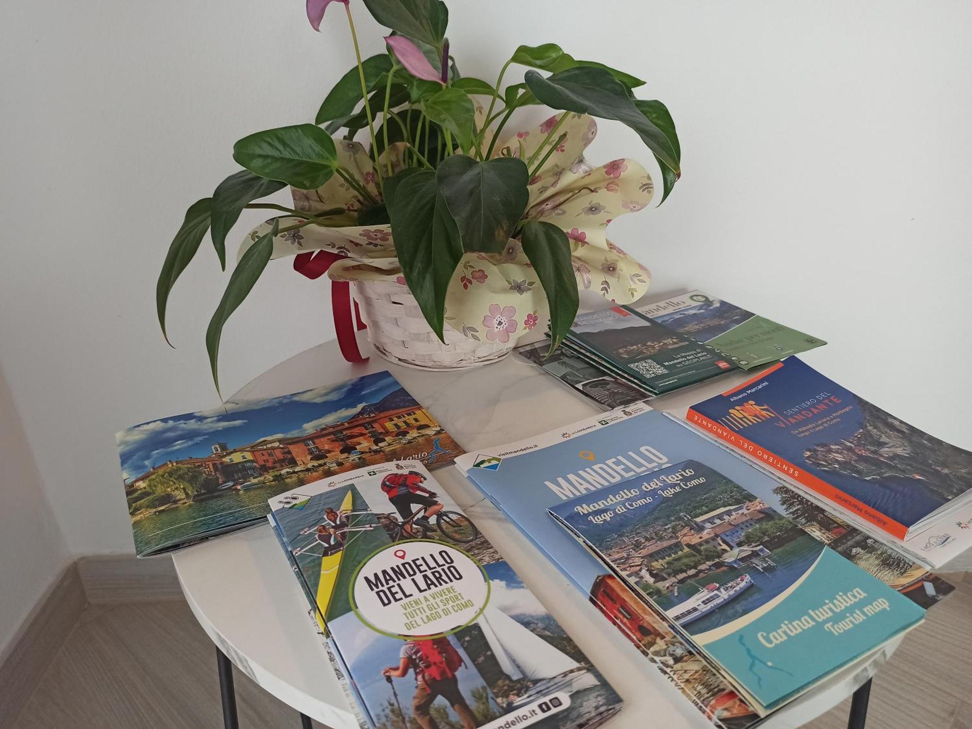 Larius Apartment - Como Lake View แมนเดลโล เดล ลาริโอ ภายนอก รูปภาพ