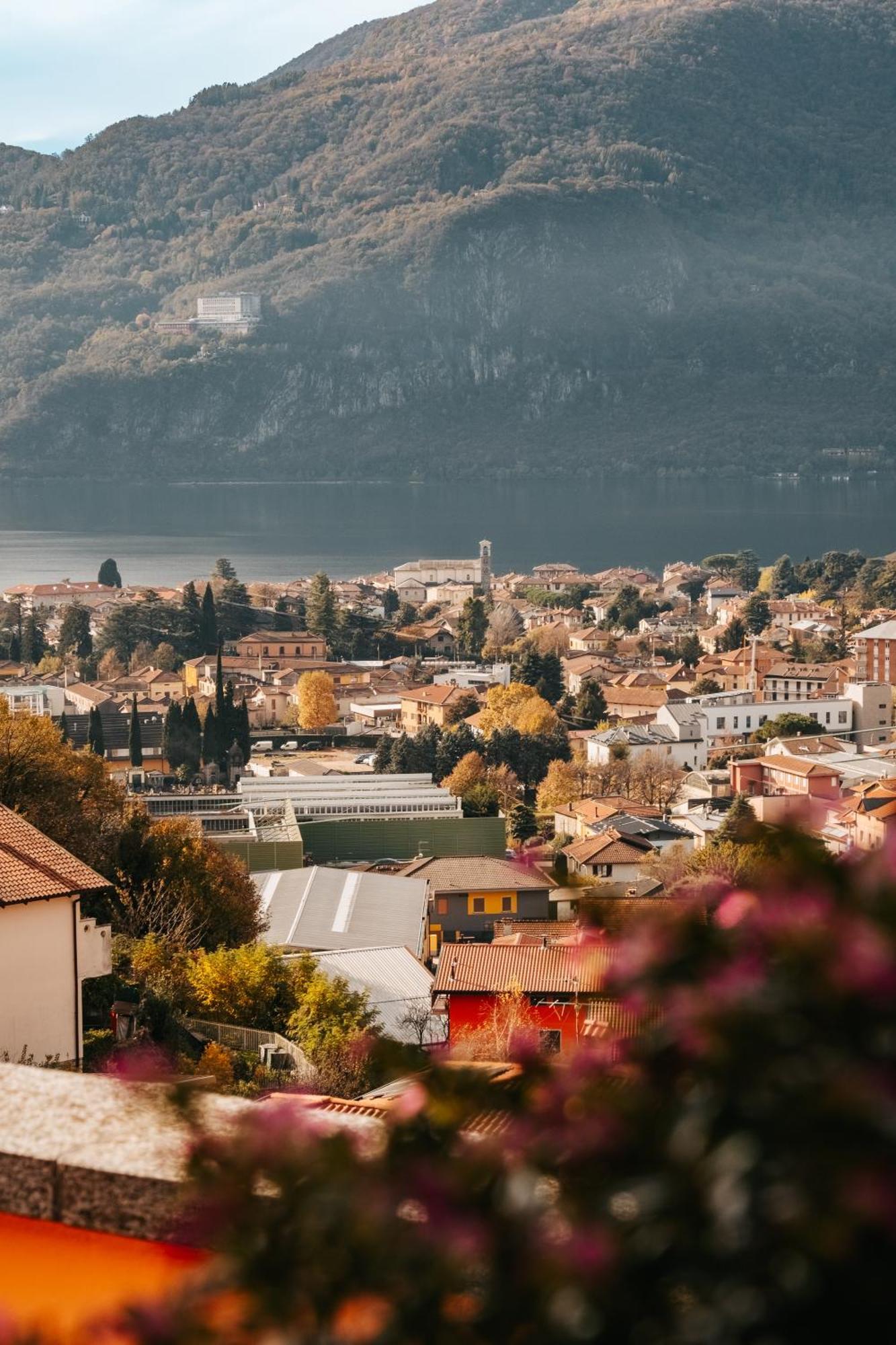 Larius Apartment - Como Lake View แมนเดลโล เดล ลาริโอ ภายนอก รูปภาพ